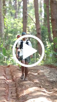 BIB:  <button type="button" onclick="openModal(26569577)" class="btn btn-primary btn-sm float-right" data-toggle="modal" data-target=".modal-high-quality">
                <i class="fa fa-download"></i> Download
                </button>